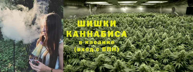 OMG рабочий сайт  где купить наркоту  Нефтегорск  Конопля THC 21% 